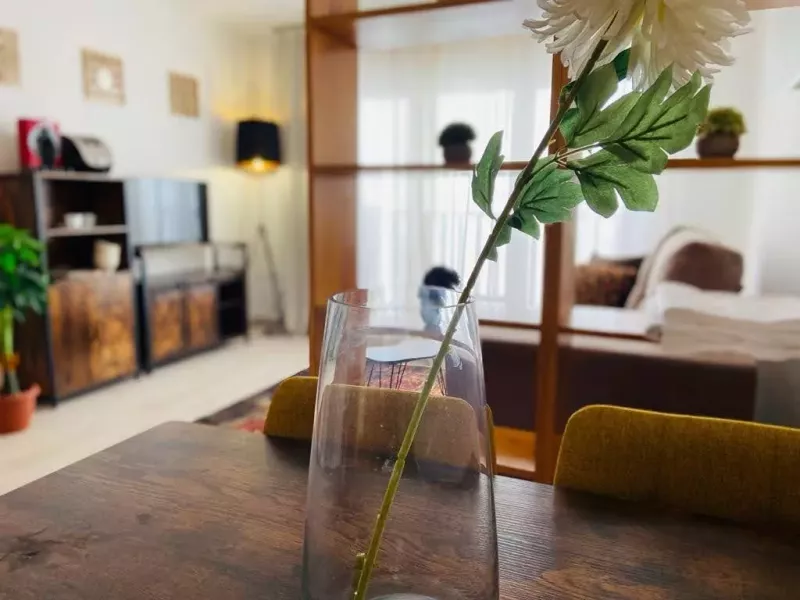 Renovated cabin studio, it has a separate toilet and a south-west facing balcony with mountain view. This apartment can accommodate up to 4 people and is fully equipped. HUT2-005636