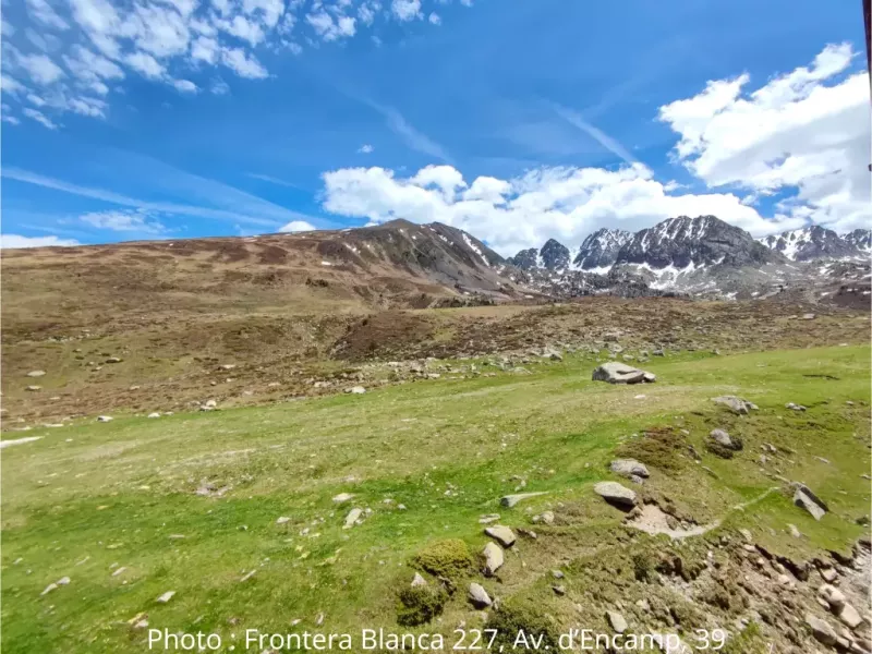 Welcome to this spacious and bright studio, fully renovated with care to offer you a comfortable and relaxing stay in the mountains.Like all our flats in this residence, it features a large balcony where you can enjoy stunning mountain views — perfect for your morning coffee or watching the sunset.The studio can accommodate up to 4 guests, with a cozy cabin area offering bunk beds and a welcoming main living space.You’ll find everything you need to feel at home: a dishwasher, washing machine, a fully equipped kitchen, and separate toilet facilities for extra comfort.An ideal place for a family getaway, a trip with friends, or a romantic escape, surrounded by nature and tranquility.